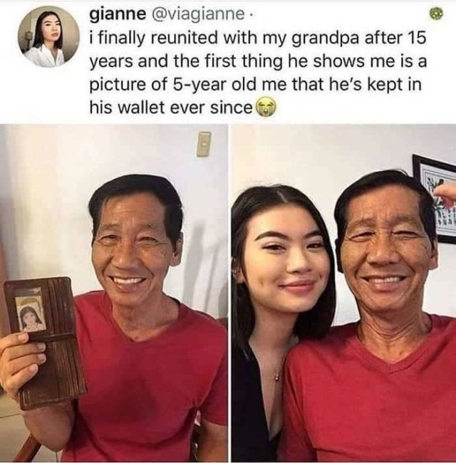 Wholesome Stories (51 pics)