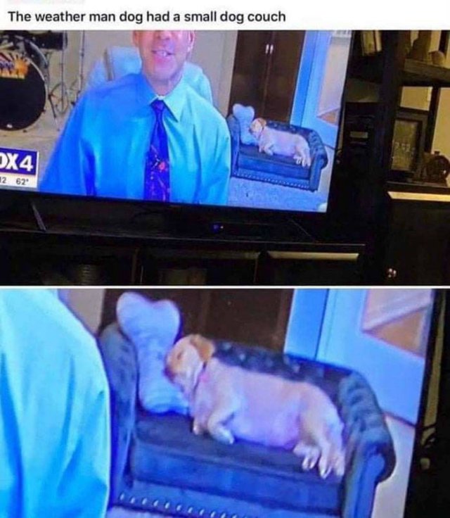 Wholesome Stories (51 pics)