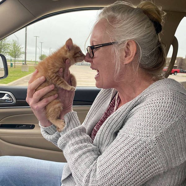 Wholesome Stories (51 pics)