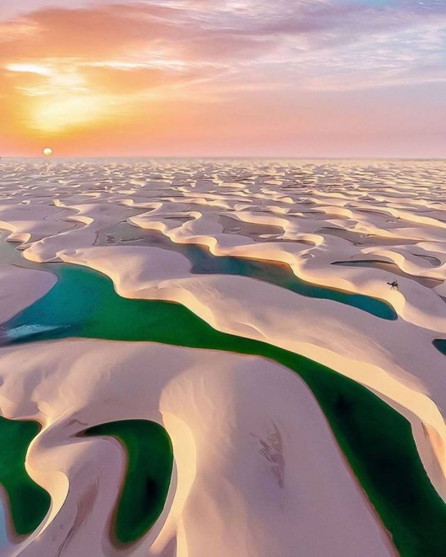 Awesome Pictures (56 pics)