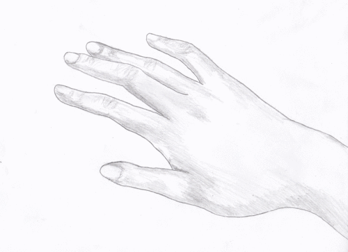 Amazing GIFs (16 gifs)
