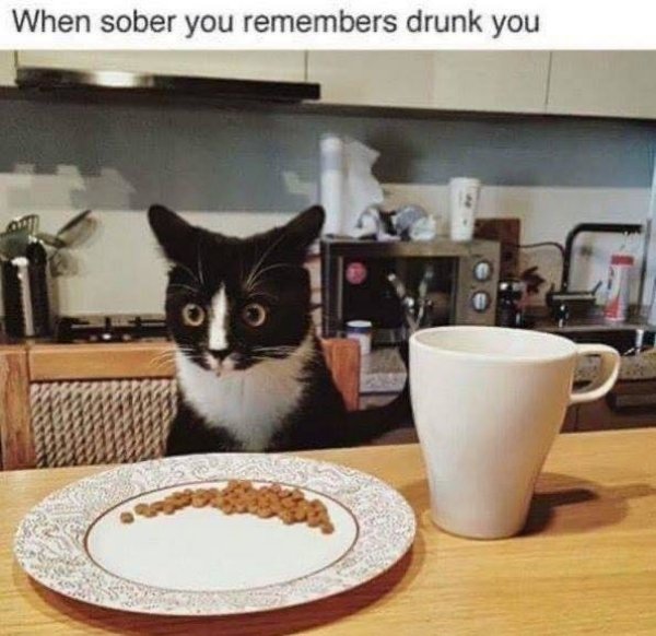 Drunk Memes (34 pics)