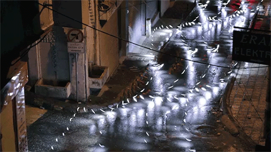Amazing GIFs (16 gifs)