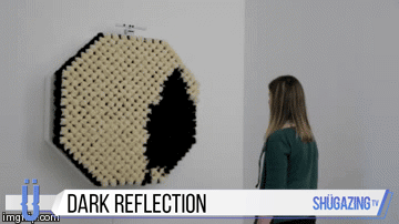 Amazing GIFs (16 gifs)