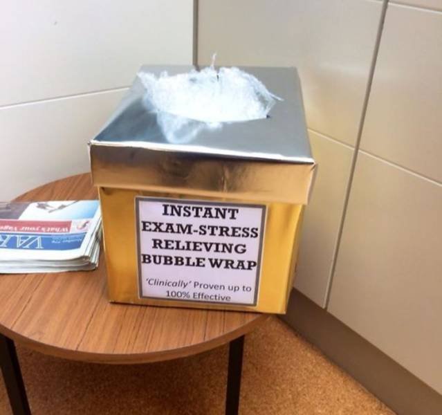 Great Teachers (17 pics)