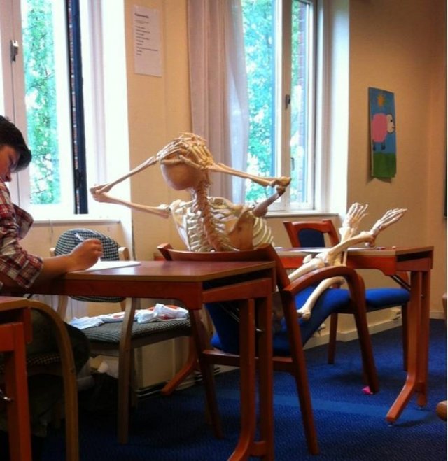 Great Teachers (17 pics)