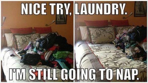 Laundry Gone Wrong (31 pics)