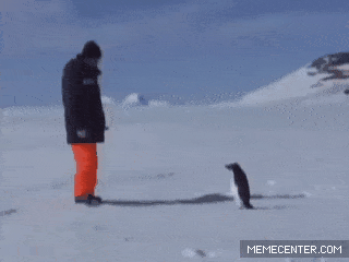 Wins And Fails (16 gifs)