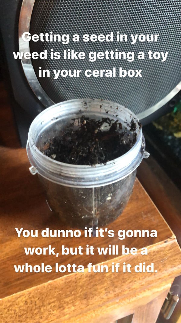 Weed Memes (40 pics)