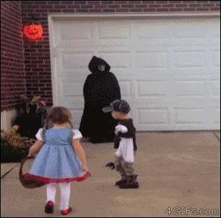 Wins And Fails (16 gifs)