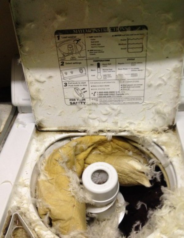 Laundry Gone Wrong (31 pics)