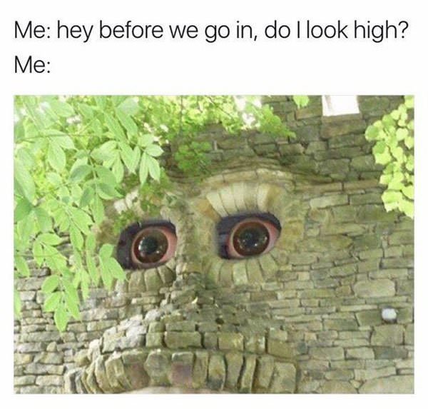 Weed Memes (40 pics)