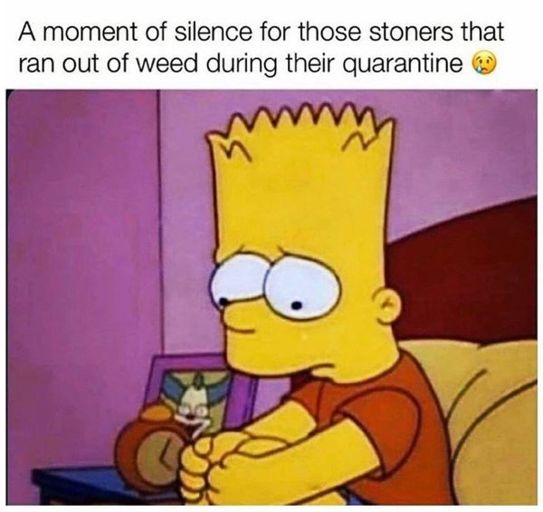 Weed Memes (40 pics)