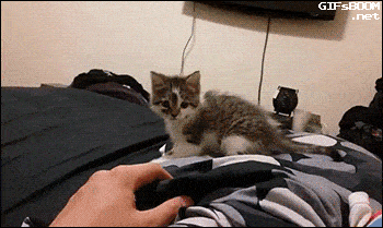 Wins And Fails (16 gifs)
