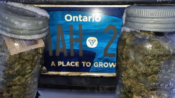 Weed Memes (40 pics)