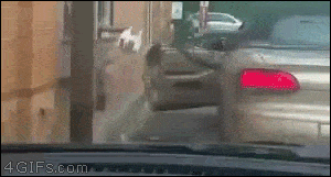 Wins And Fails (16 gifs)