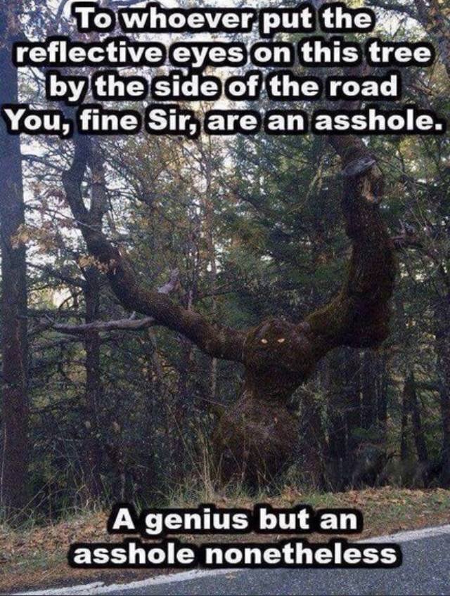 Acid Picdump. Part 2 (95 pics)