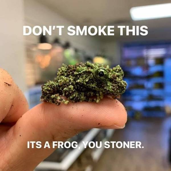 Acid Picdump. Part 2 (95 pics)