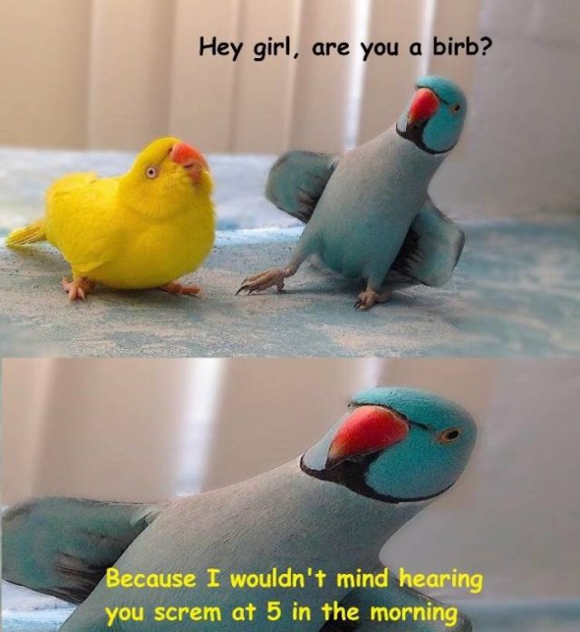 Acid Picdump. Part 2 (95 pics)