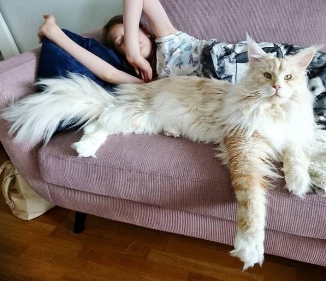Acid Picdump. Part 2 (95 pics)