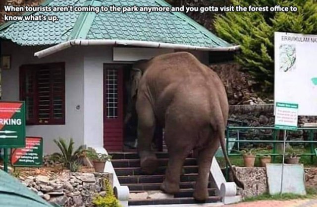 Acid Picdump. Part 2 (95 pics)
