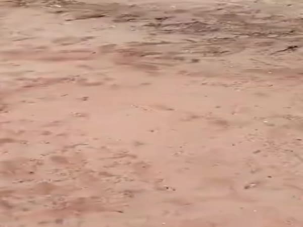 Getting Rid Of A Wasp Nest