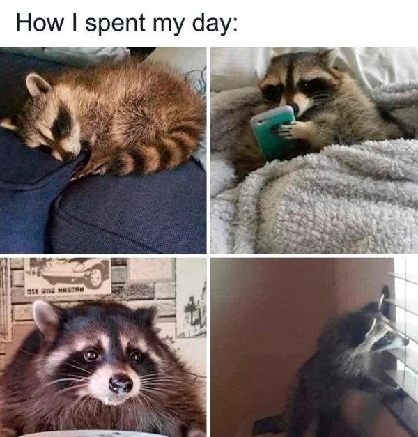 Coronavirus Memes (38 pics)