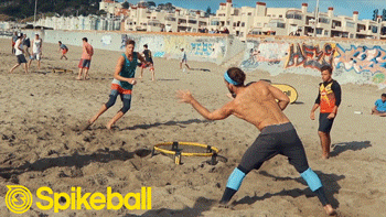Spikeball GIFs (20 gifs)