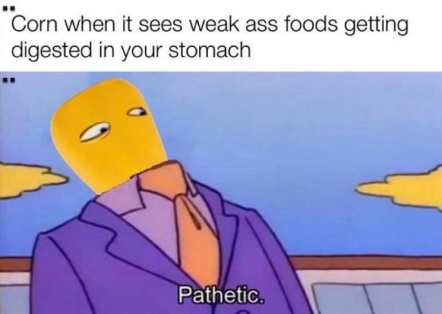 Random Funny Memes (50 pics)
