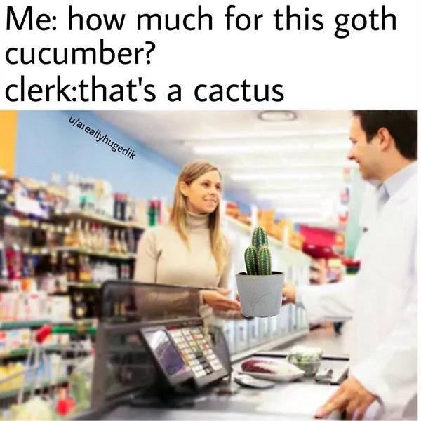 Random Funny Memes (50 pics)