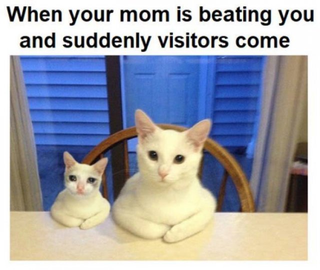 Random Funny Memes (50 pics)