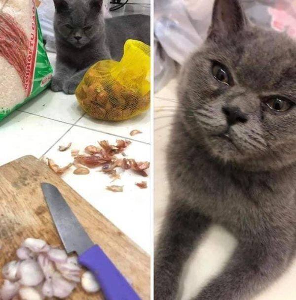 Random Funny Memes (50 pics)