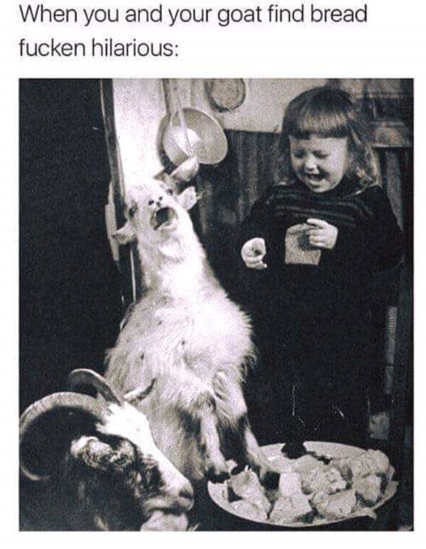 Random Funny Memes (50 pics)