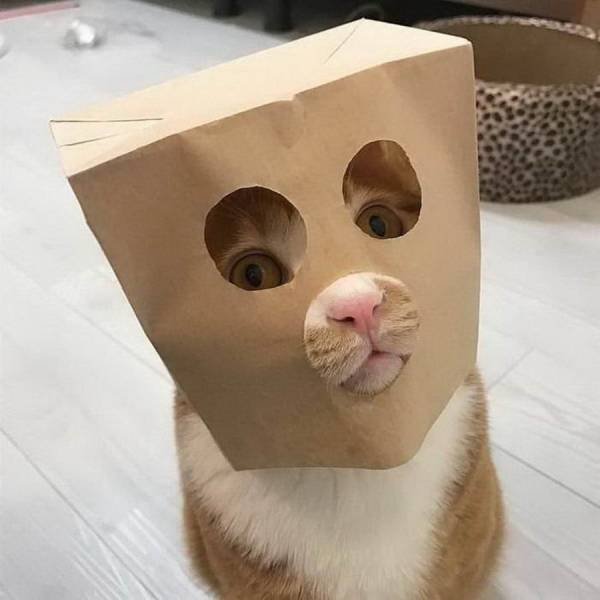 Acid Picdump. Part 1 (95 pics)