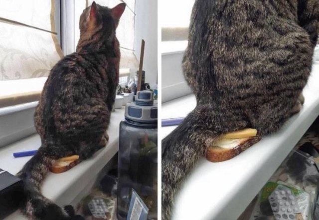 Acid Picdump. Part 1 (95 pics)