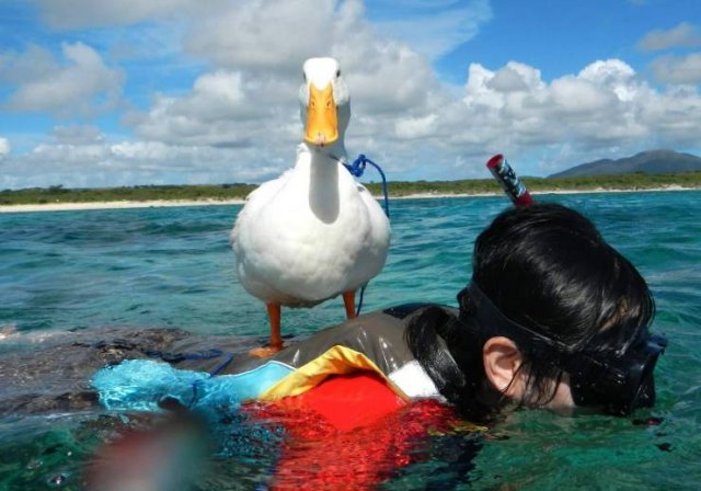 Acid Picdump. Part 1 (95 pics)