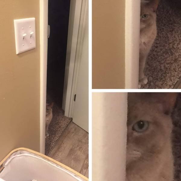 Acid Picdump. Part 1 (95 pics)