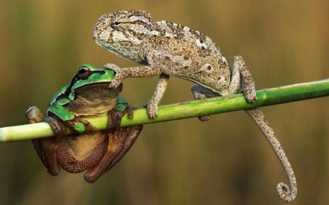 Acid Picdump. Part 1 (95 pics)