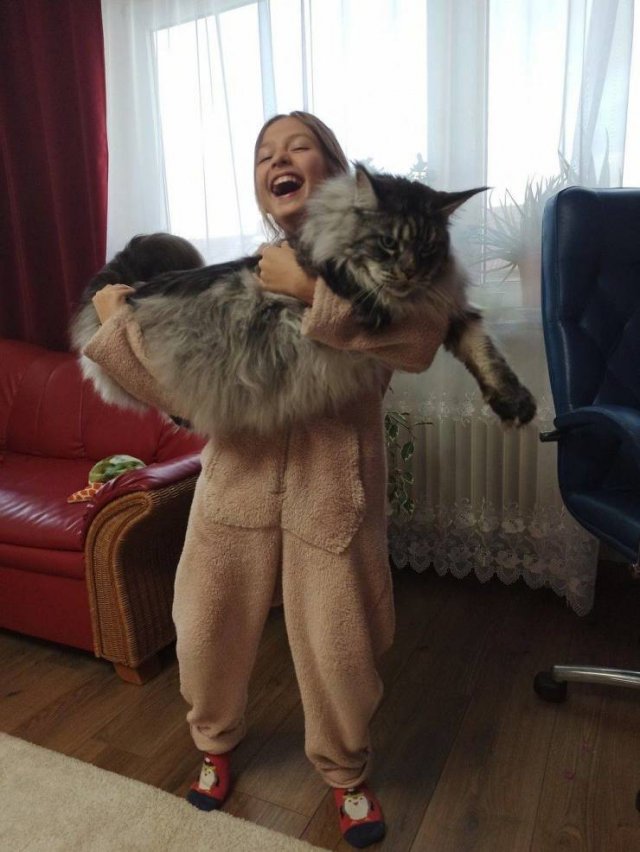 Acid Picdump. Part 1 (95 pics)