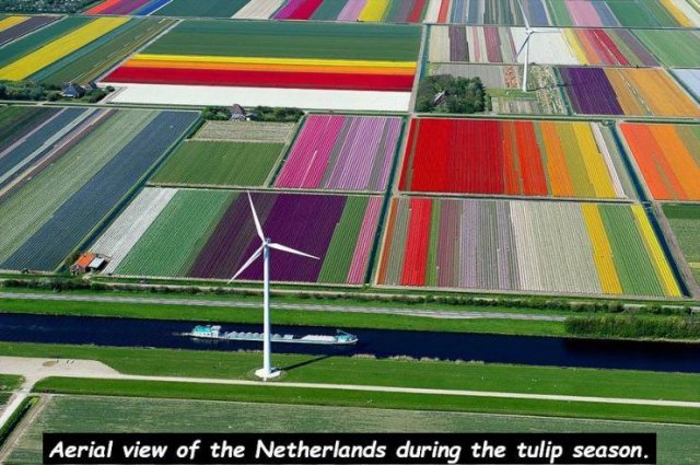 Acid Picdump. Part 1 (95 pics)
