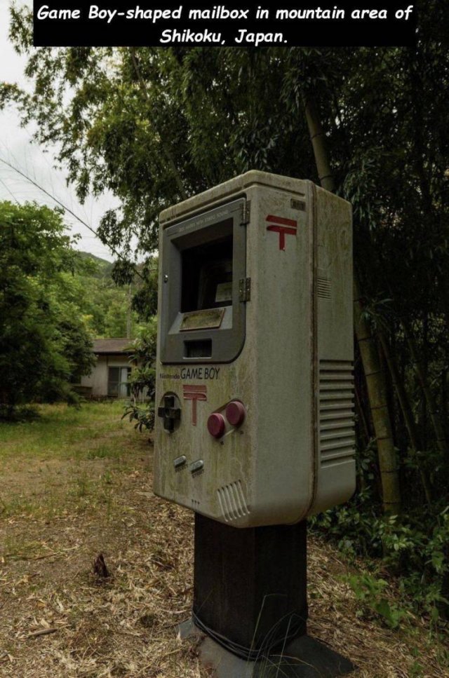 Acid Picdump. Part 1 (95 pics)