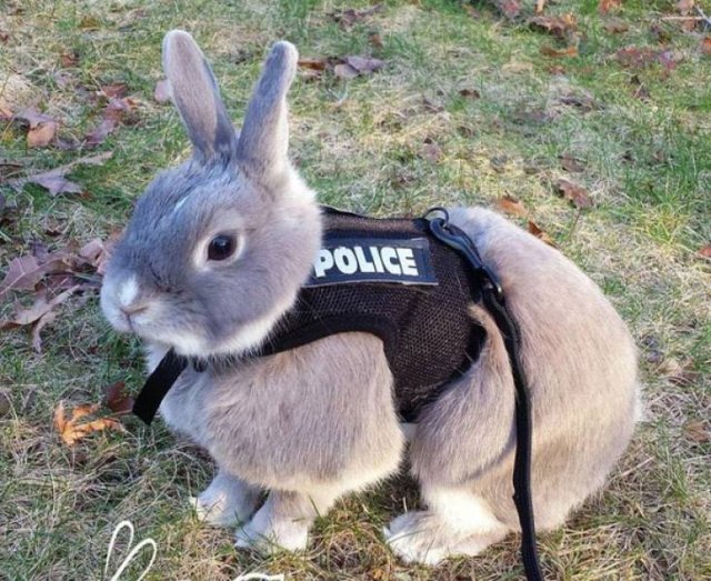 Acid Picdump. Part 2 (95 pics)