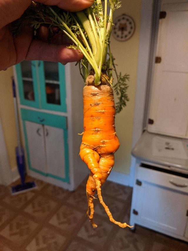 Acid Picdump. Part 2 (95 pics)