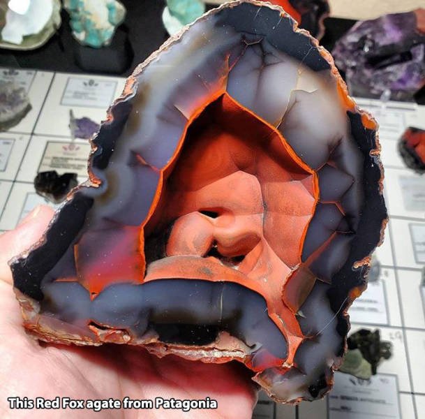 Acid Picdump. Part 2 (95 pics)
