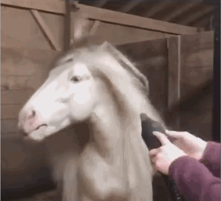 Acid Gifdump, April 22 (25 gifs)
