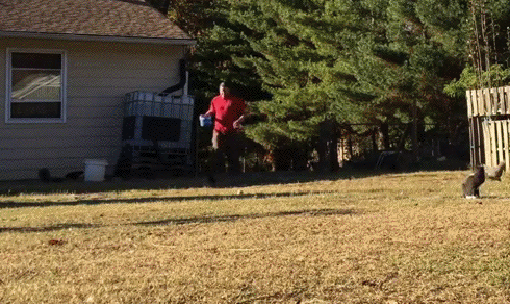 Acid Gifdump, April 22 (25 gifs)