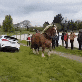 Acid Gifdump, April 22 (25 gifs)