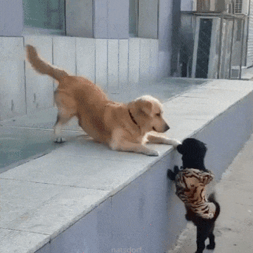 Acid Gifdump, April 22 (25 gifs)