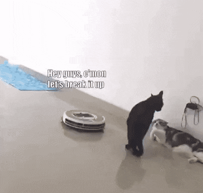 Acid Gifdump, April 22 (25 gifs)