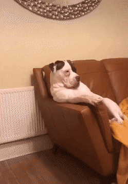 Acid Gifdump, April 24 (25 gifs)